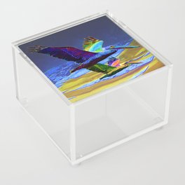 Pelican Flight Acrylic Box