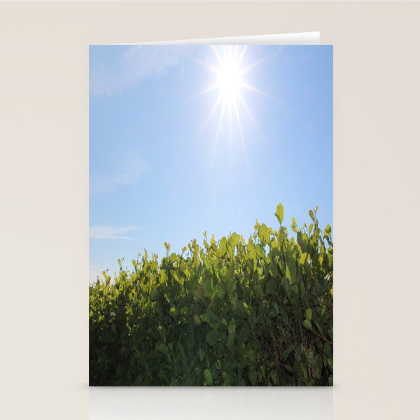 Summer Photos Nature Photography Fine Art Gifts Landscape Photo Sunshine Photo Stationery Cards By Bekkastudio