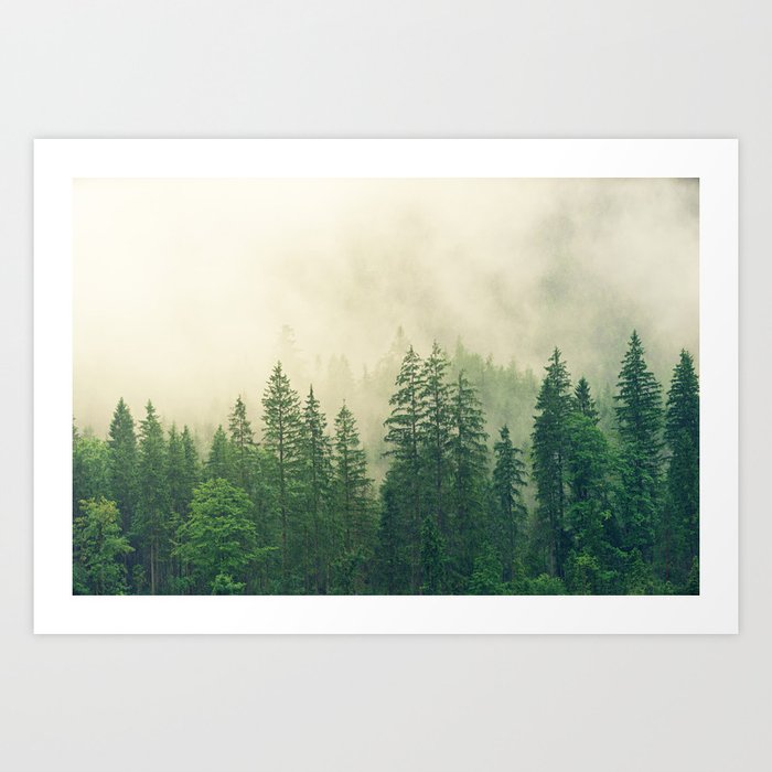 Forest and Fog 02 Art Print