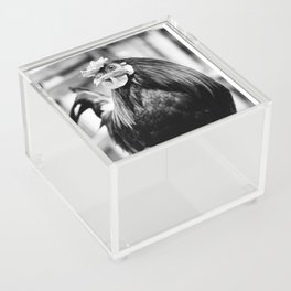 Rooster chicken portrait Acrylic Box
