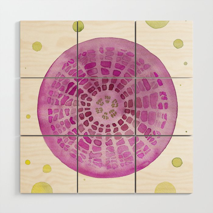 Microscopic: Diatoms - Fuchsia Palette Wood Wall Art
