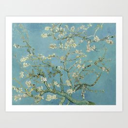 Almond Blossoms Art Print