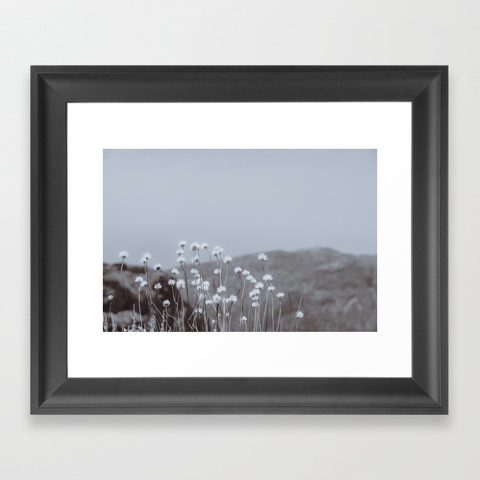 Mountain Flowers 2 Framed Art Print