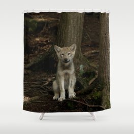 Baby Timber Wolf Shower Curtain