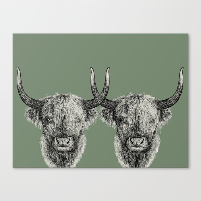 Scottish Highland Cows, pen and ink illustration, grassy green Canvas Print