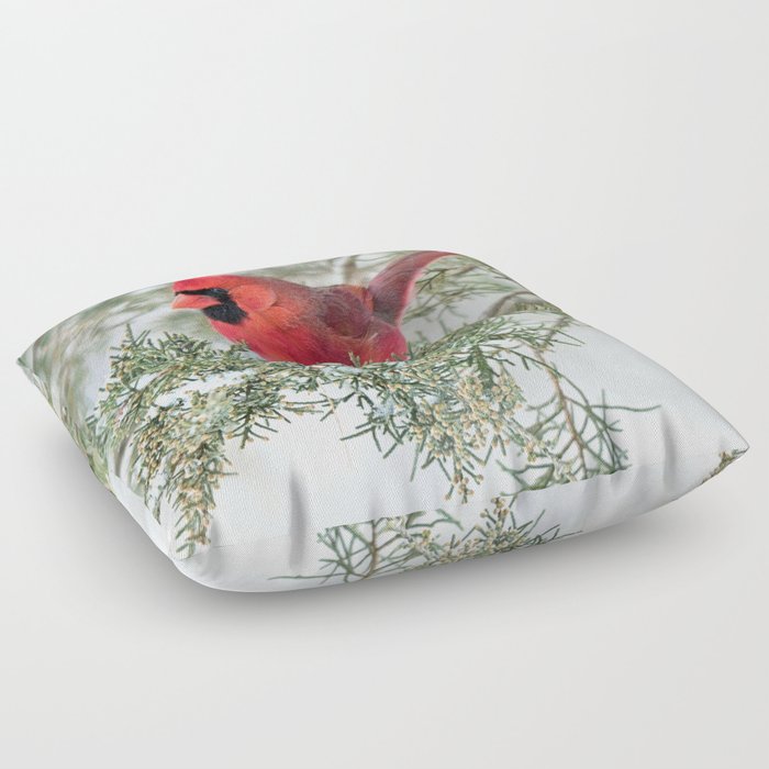 Cocky Cardinal Floor Pillow