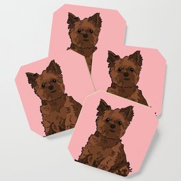 Cute brown Yorkshire Terrier dog - pink background Coaster