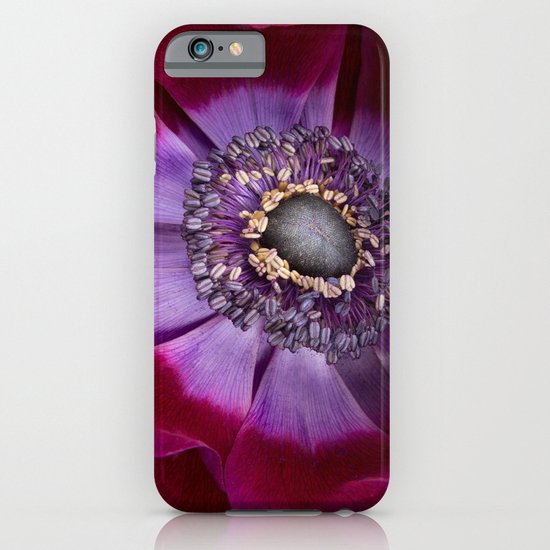 Anemone Coronaria - Macro iPhone & iPod Case