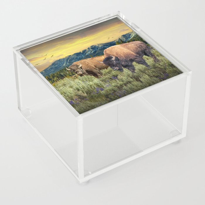 American Buffalo Western Landscape with Mountain Sunset in Yellowstone National Park Acrylic Box