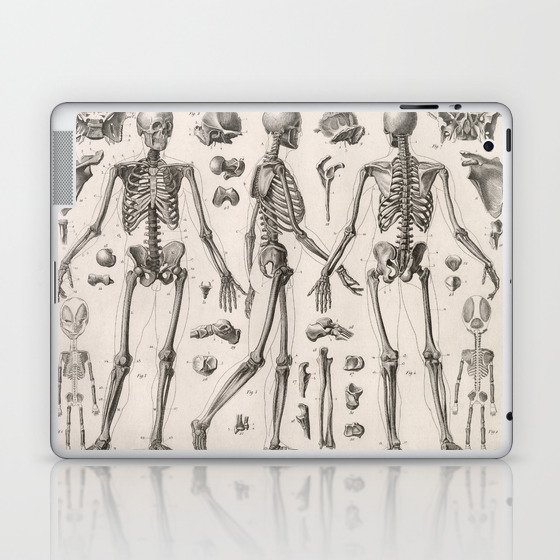 1857 Diagram Anatomy including Skeletons Laptop & iPad Skin