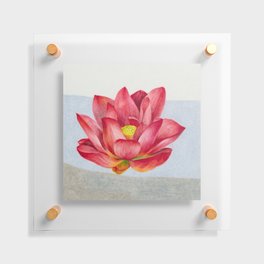 Blooming peach lotus 3 Floating Acrylic Print