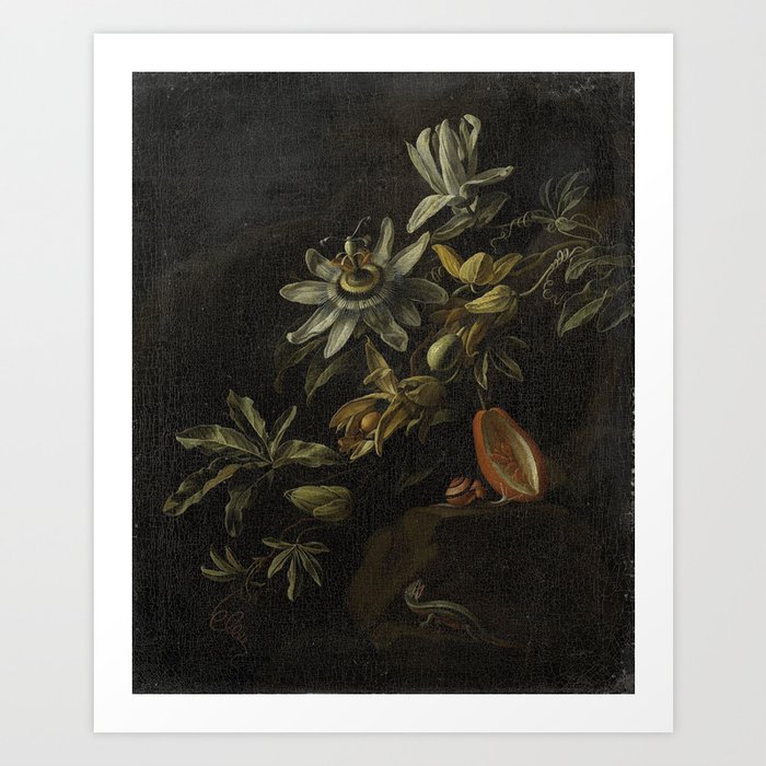 Still Life with Passionflowers, Elias van den Broeck, 1670 - 1708 Art Print