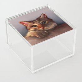 Cleo Acrylic Box