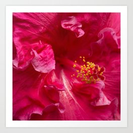 Hibiscus Flower Art Prints to Match Any Home's Decor | Society6