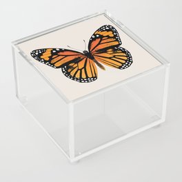 Monarch Butterfly | Vintage Butterfly | Acrylic Box