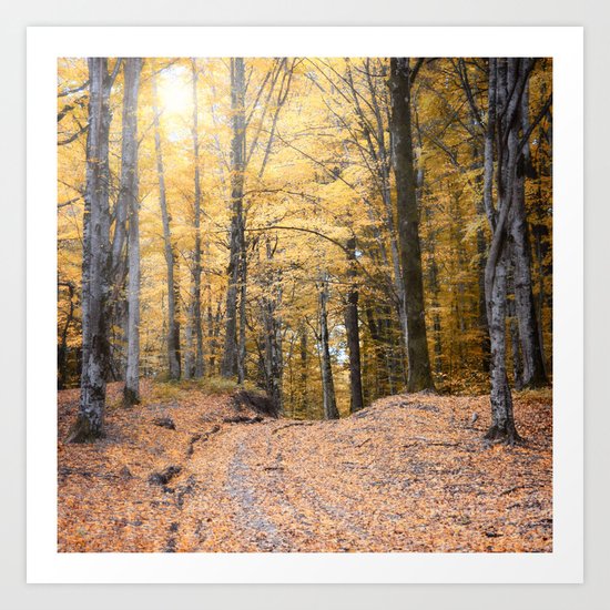A Walk Through A Dream Forest Art Print