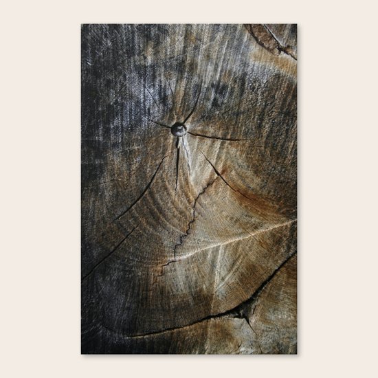 Crash Canvas Print