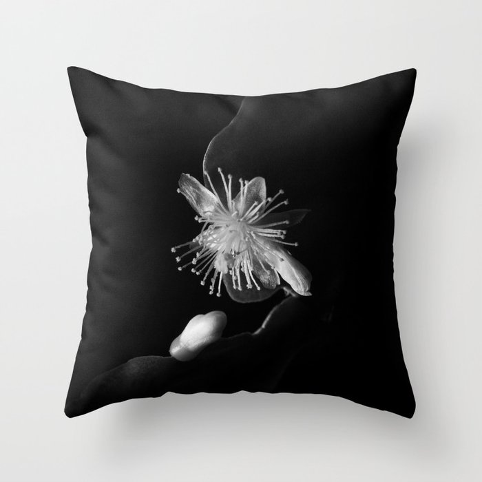Minimalistic Black and white photography of a cactus flower Throw Pillow