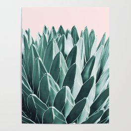 Agave Chic #10 #succulent #decor #art #society6 Poster