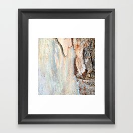 Eucalyptus tree bark and wood Framed Art Print