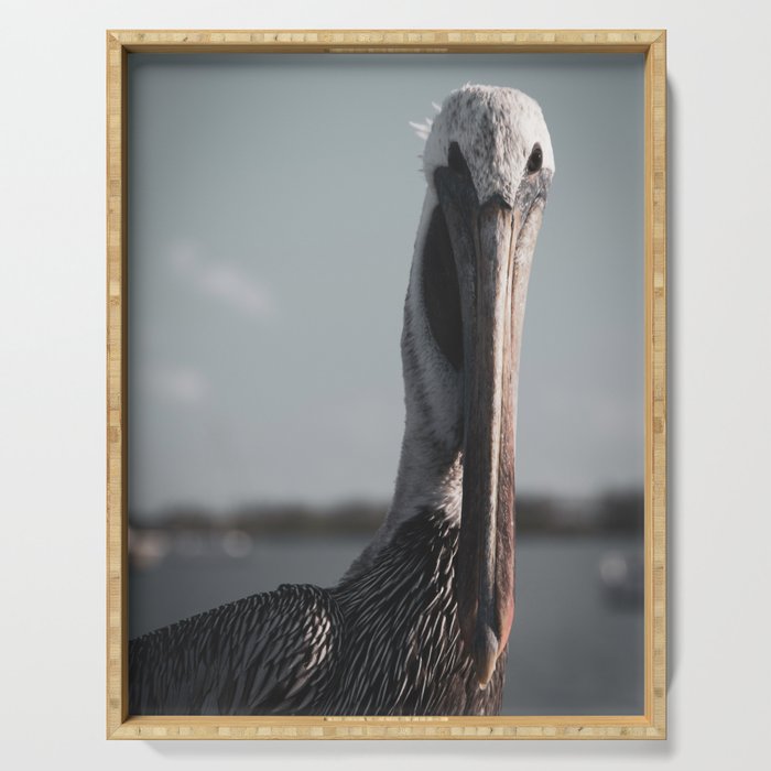 Bob The Pelican Colorized Animal / Wildlife Photograph Serving Tray And More