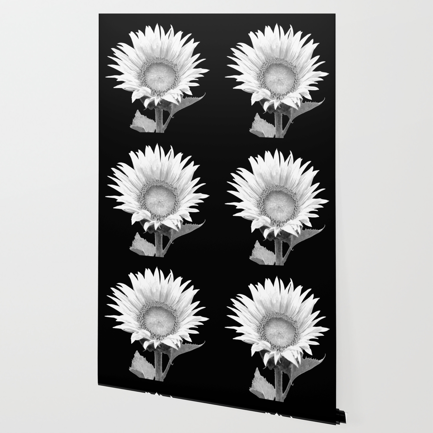 White Sunflower Black Background Wallpaper By Alemi Society6