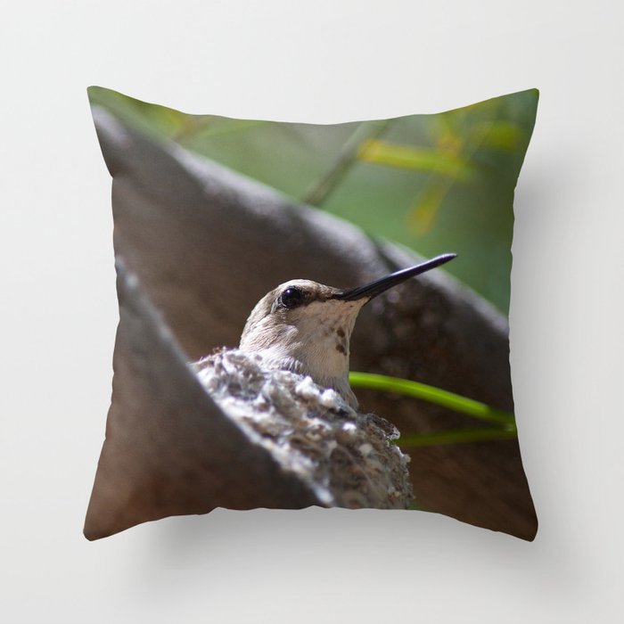 Hummingbird Momma Throw Pillow