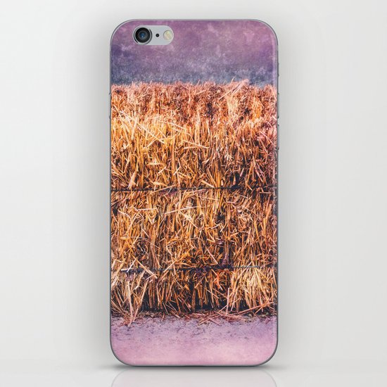 A TWIST ON HAY iPhone & iPod Skin