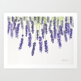 Lavender Garland  Art Print