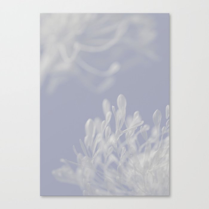 Abstract Flower Soft Blue Art Print Canvas Print