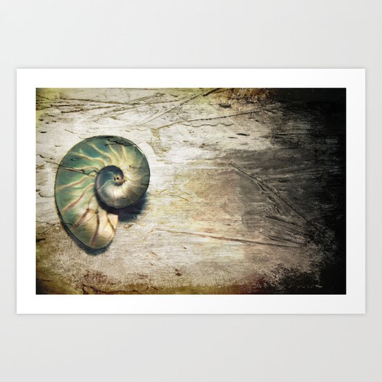 Shell Art Print