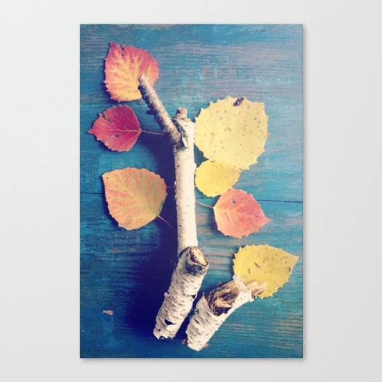 It's a Colorful World 2 Canvas Print