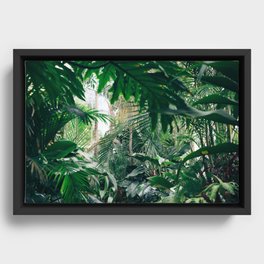 jungle Framed Canvas
