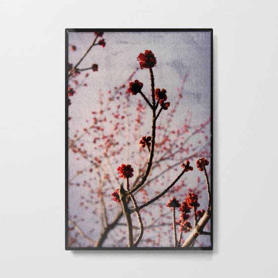 SoulRise Metal Print