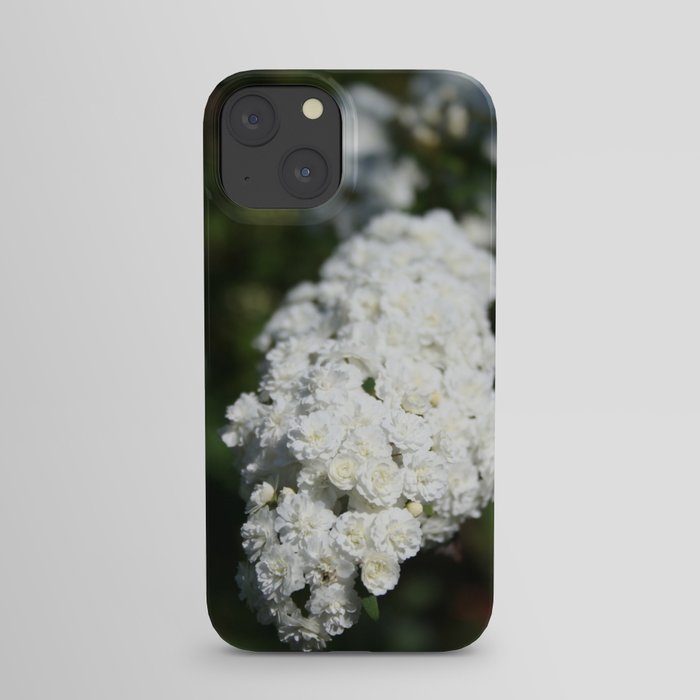 Deutzia White Spring Blossoms iPhone Case