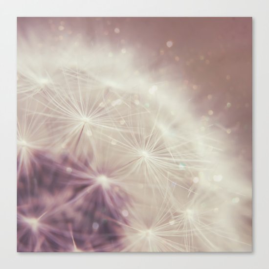 Fairydust Canvas Print