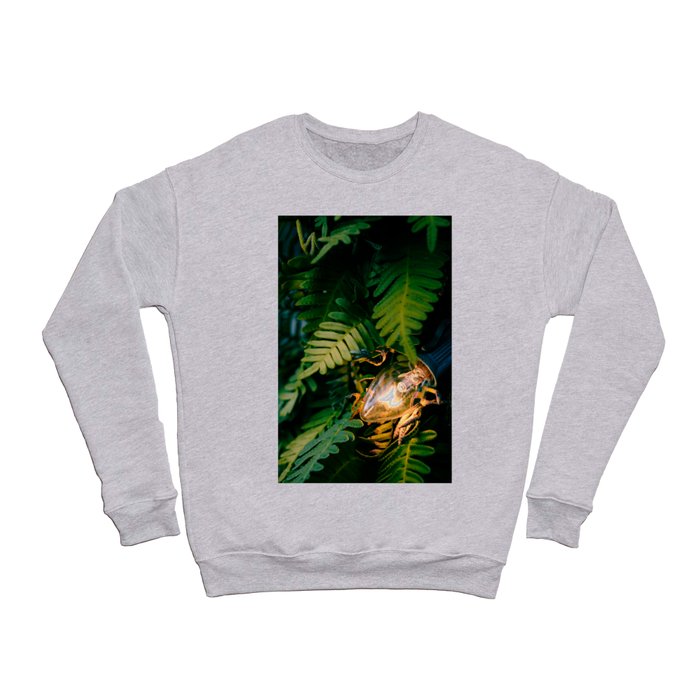 A Light In the Darkness Crewneck Sweatshirt