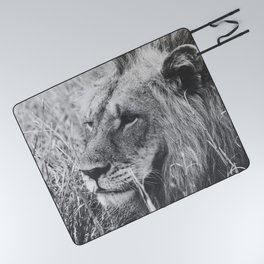 South Africa Photography - Lion In Black And White Picnic Blanket