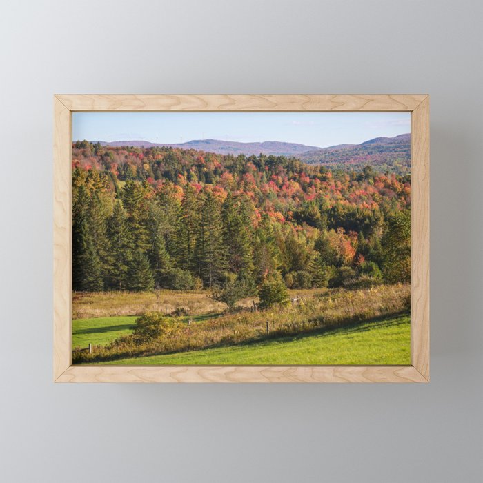 Fall into Vermont Leaves Framed Mini Art Print