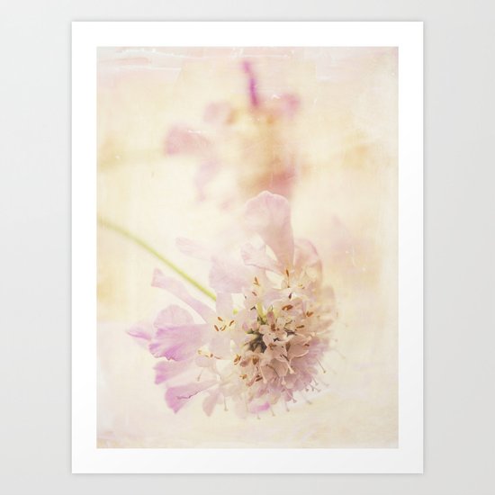 Soft Pink Art Print