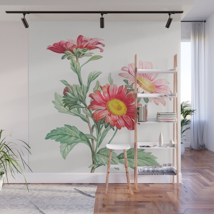 Red aster by Pierre-Joseph Redouté Wall Mural