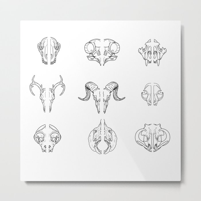 Cracking skulls Metal Print