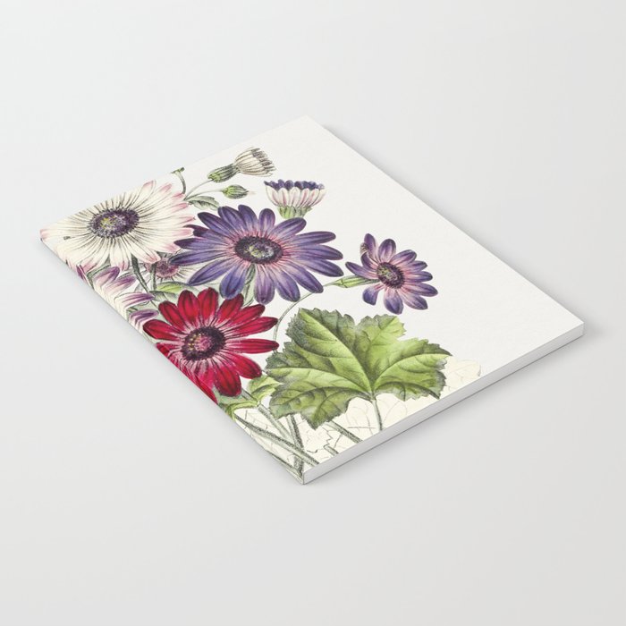 Colorful Chrysanthemums Notebook