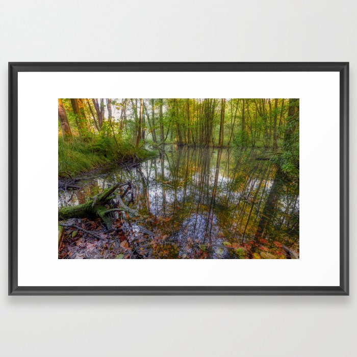 Autumn Pond Reflection (Feniscowles, Blackburn) Framed Art Print
