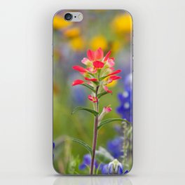 Texas Wildflowers - Indian Paintbrush, Bluebonnet iPhone Skin