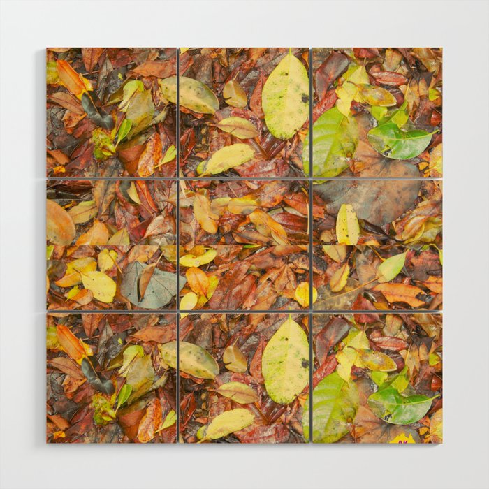 Forest Floor Wood Wall Art