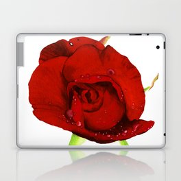 crimson rose Laptop Skin