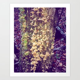 Fairy Bells and Whistles Art Print | Fungi, Woods, Purple, Mushroom, Fairy, Faery, Rain, Magic, Forest, Tree 