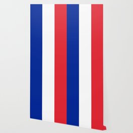 French Flag Wallpaper For Any Decor Style Society6
