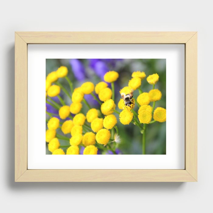 Bumbles Recessed Framed Print